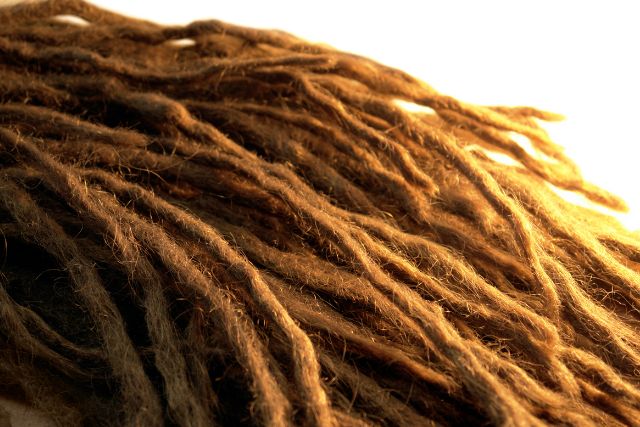 Close up image of dreadlocks in white background.