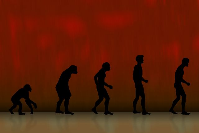 Grunge graphic of human evolution.