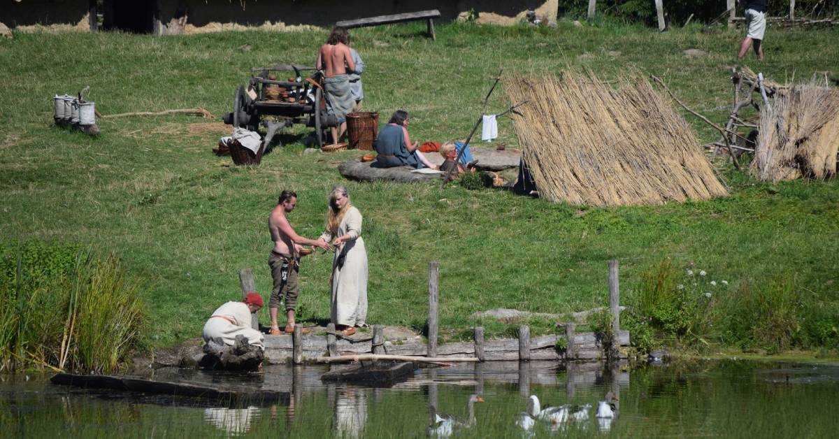 A Vikings villages showing their daily life.
