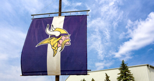Minnesota Vikings Flag with iconic head on a purple flag with a white stripe down the midddle